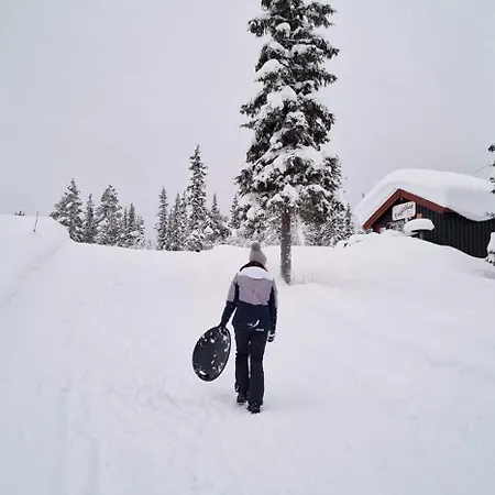 Family-friendly Near Trails! Beitostolen